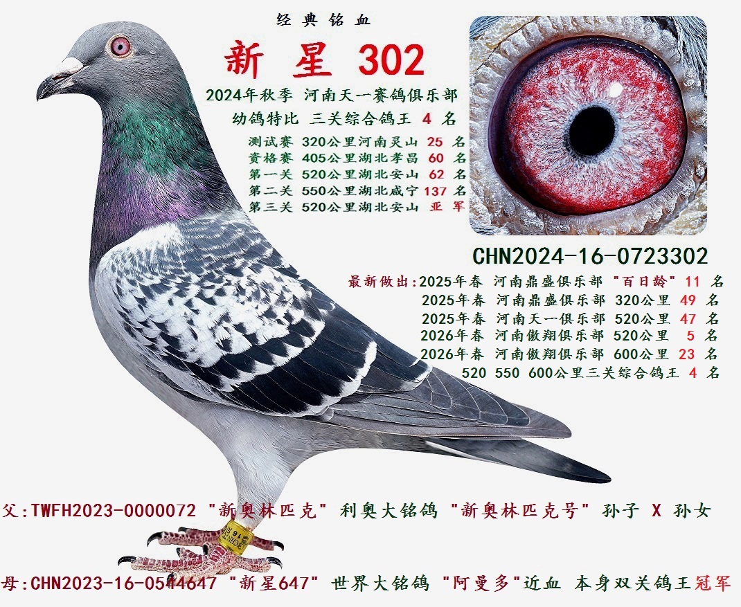2024���� �����ۺϸ��� 4 ��