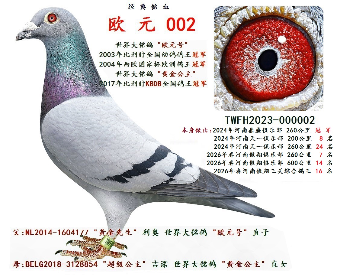 ŷ Ԫ 002