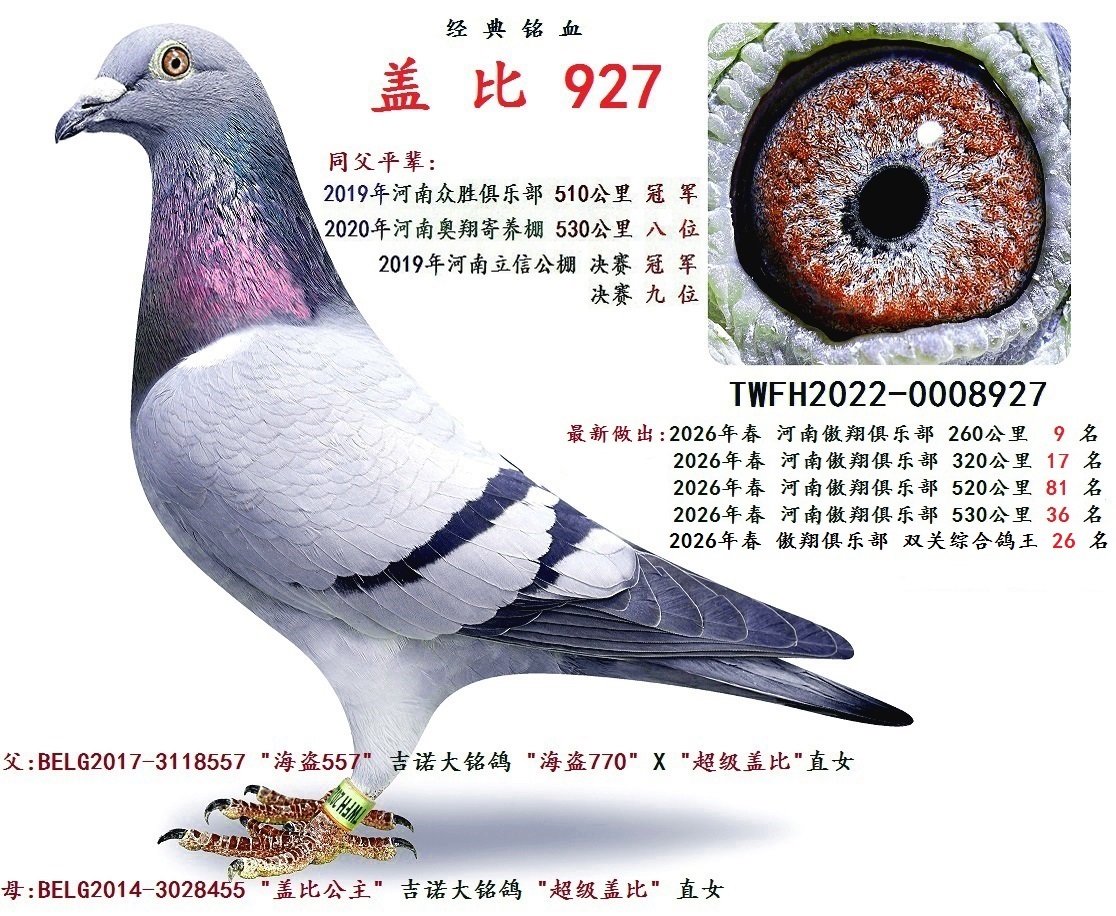 �� �� 927