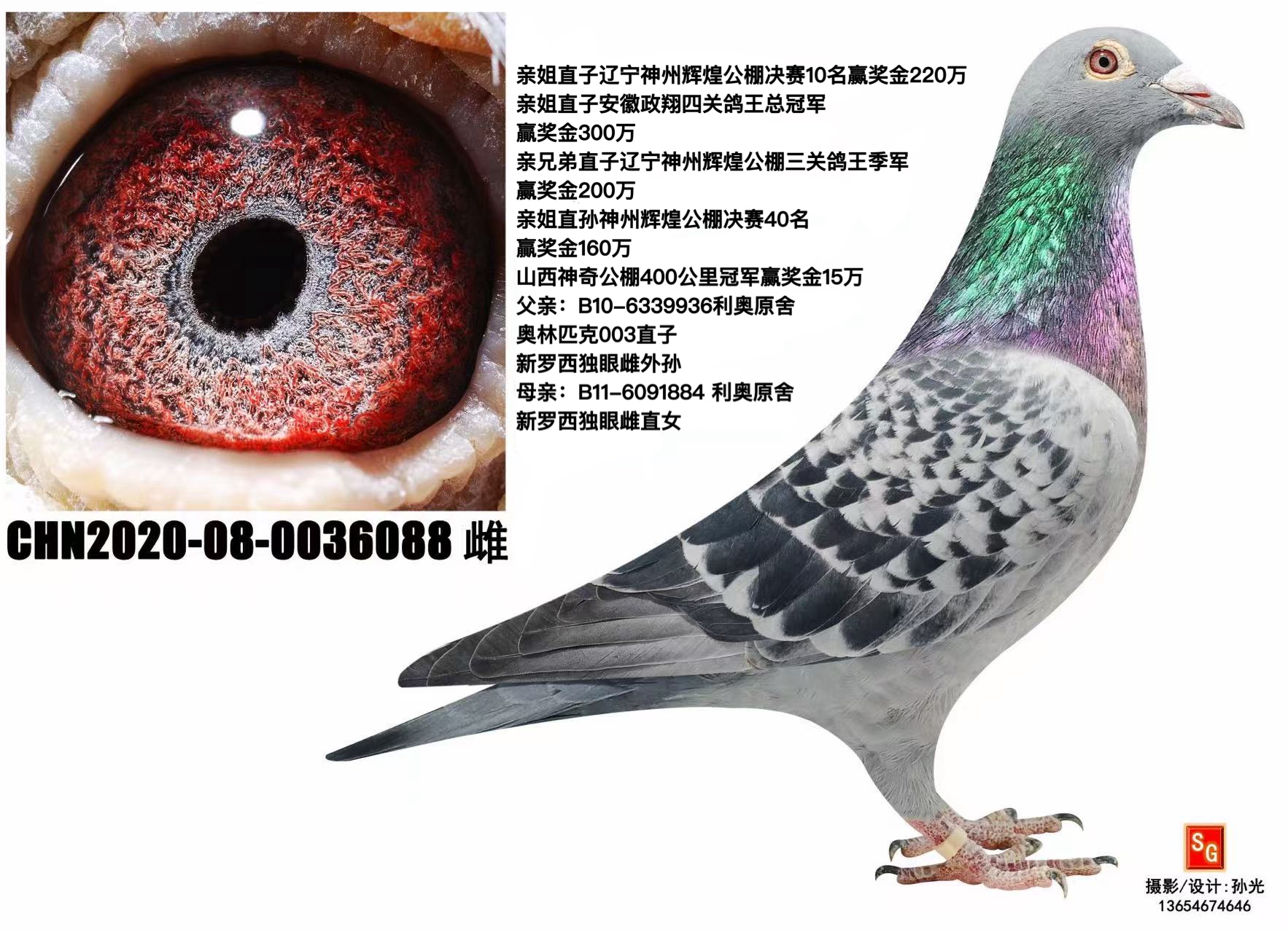 003ֱ��Ů