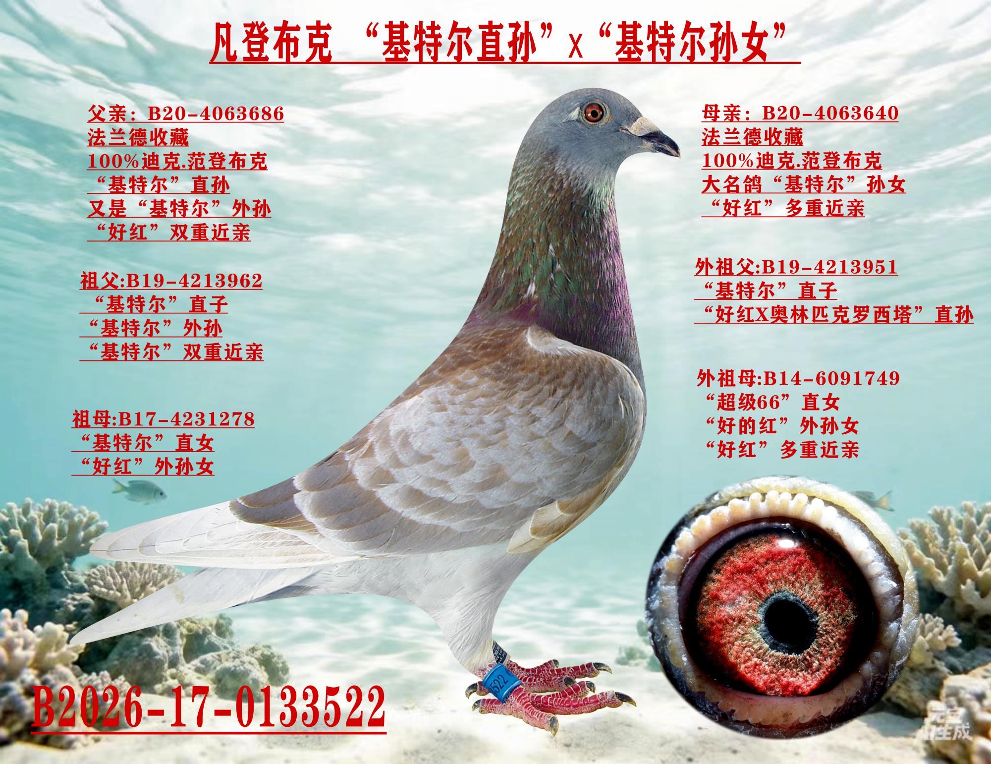 ���ǲ��ˡ����ض�ֱ�x�����ض���Ů��