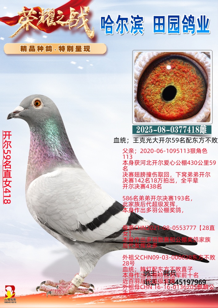 开尔59名直女