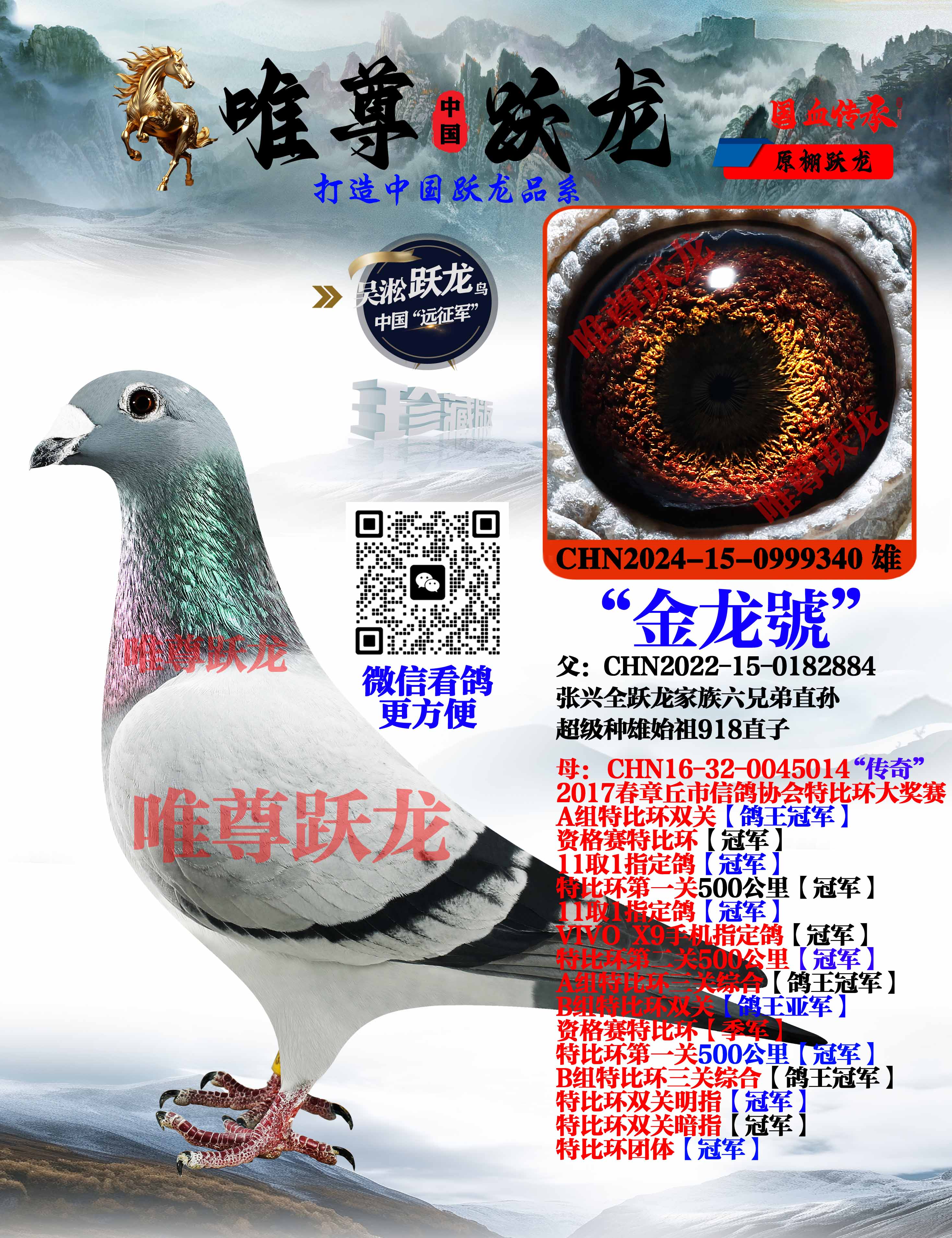 唯尊跃龙家族918代表直孙【金龙號】