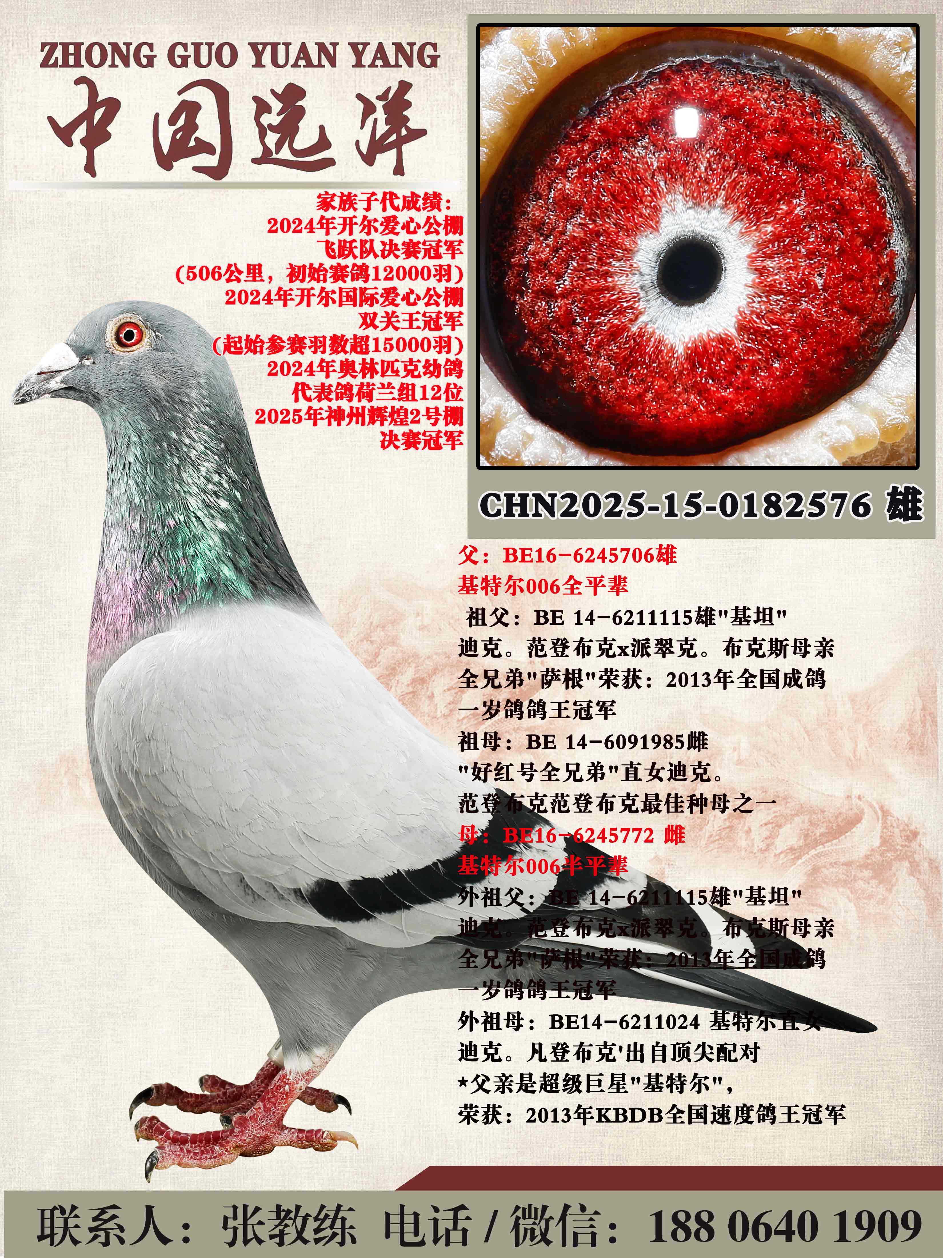 ���ض�006ȫƽ������
