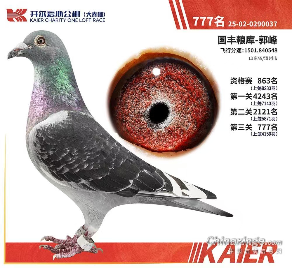 2026�꿪���������777��