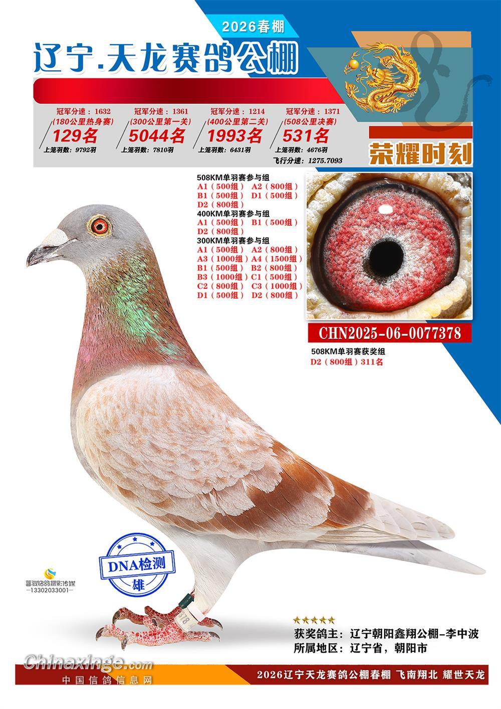 2025年辽宁天龙春棚决赛531名