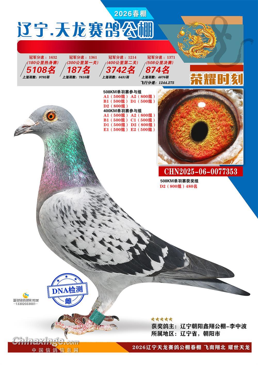 2025年辽宁天龙春棚决赛874名