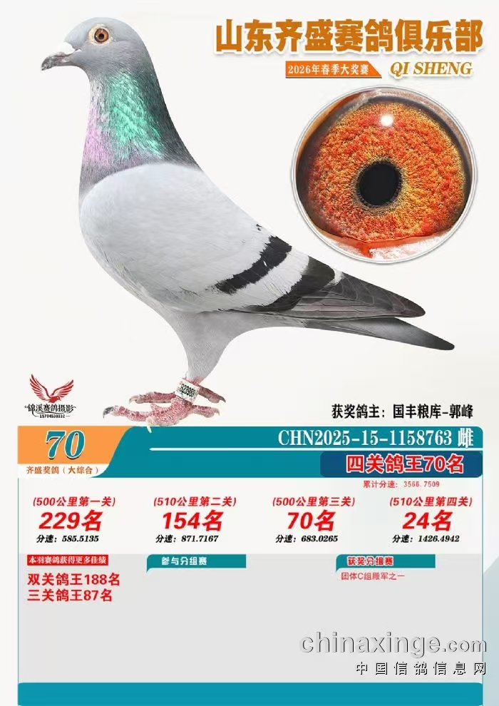 ��ʢ������ֲ��Ĺظ���70��