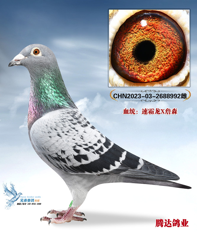 ���ô��������丸��B10-4210694