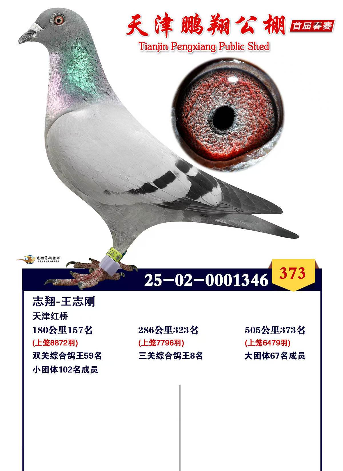 ���贺�����ظ���8λ