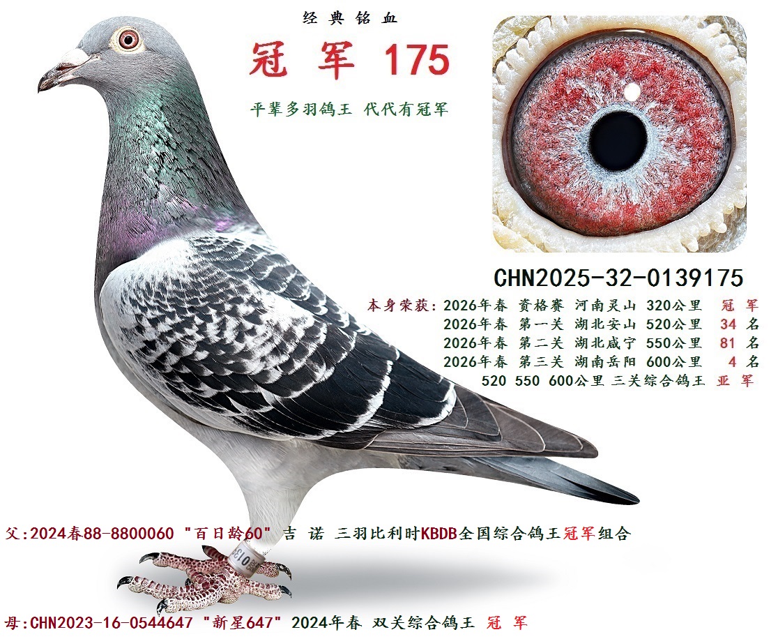 2026�괺 �����ۺϸ��� �� ��