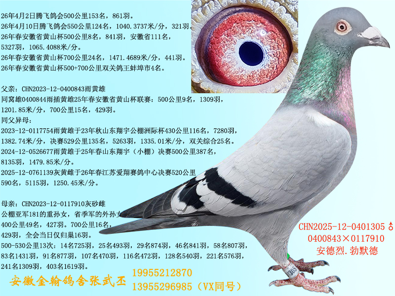 安德烈.勃默德0401305