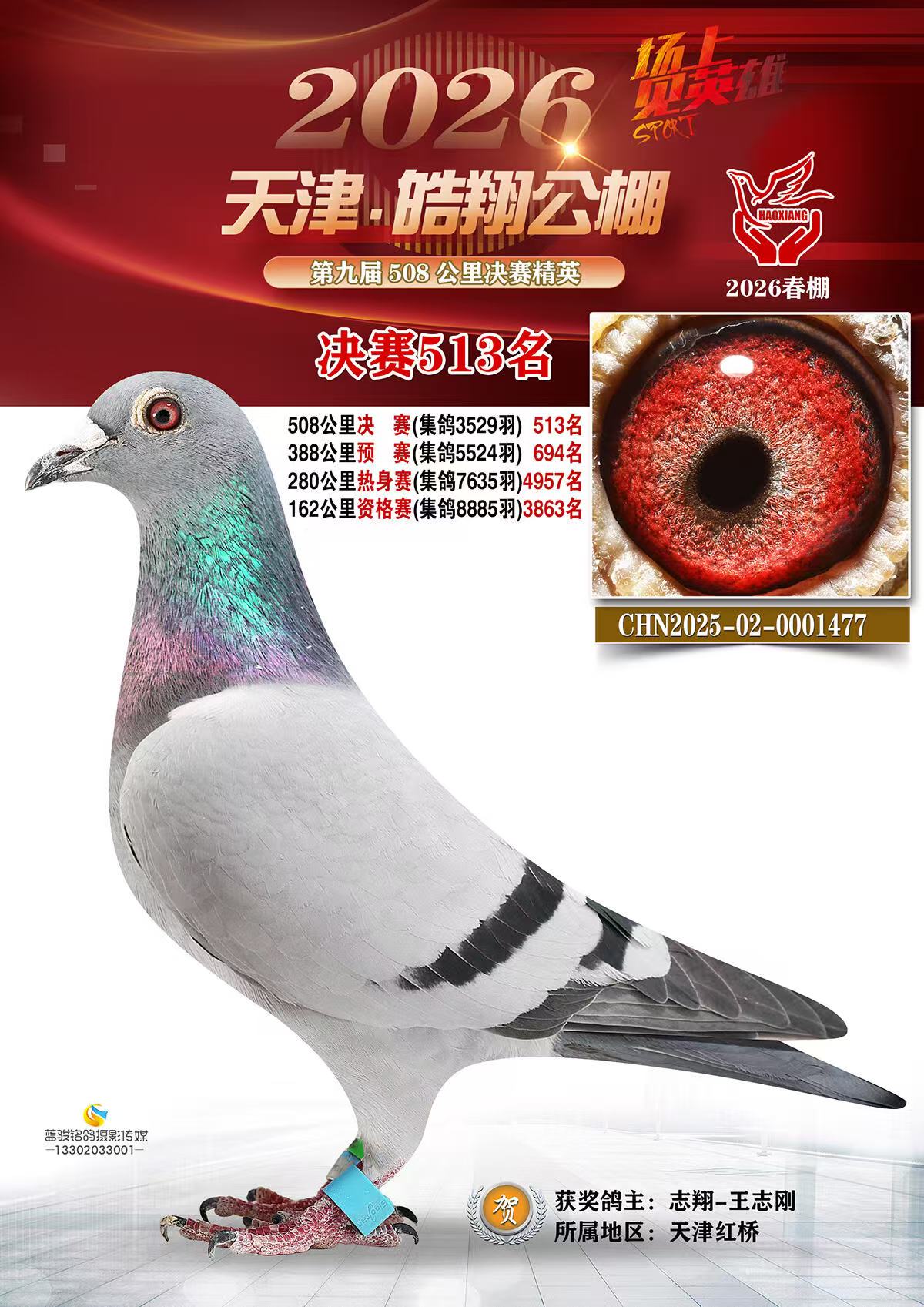 ��贺����513��