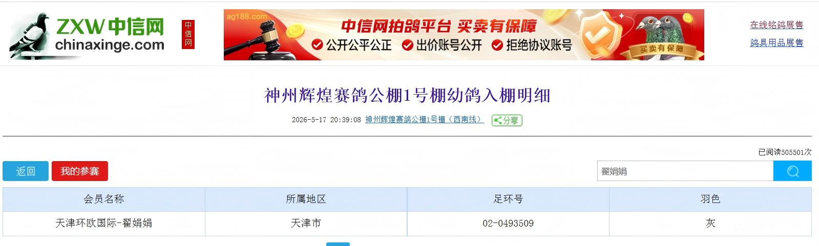 神州辉煌公棚参赛鸽