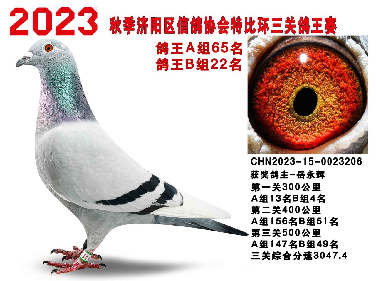 ����22��