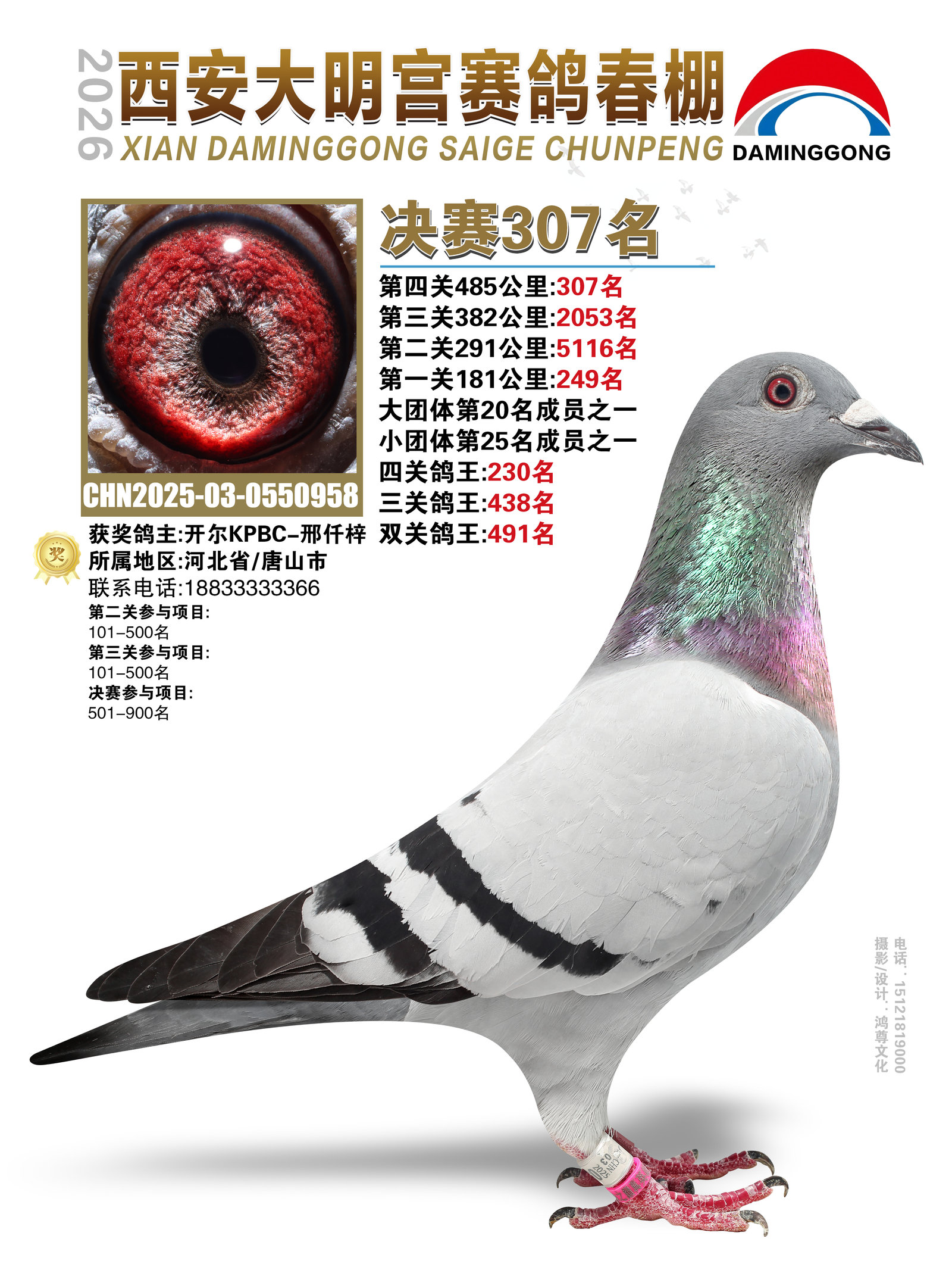 26�괺��������������307��