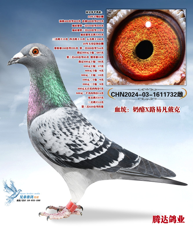 ��ָ�����һ��ֱŮ732