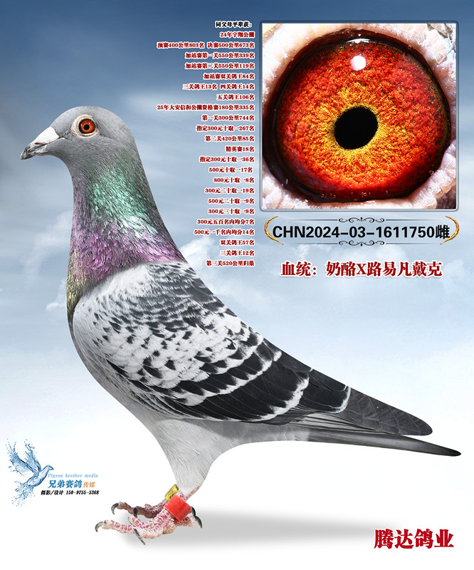 ��ָ�����һ��ֱŮ750
