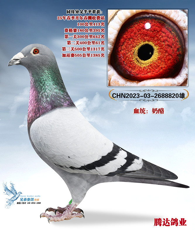��ָ����Դơ�ֱ��820