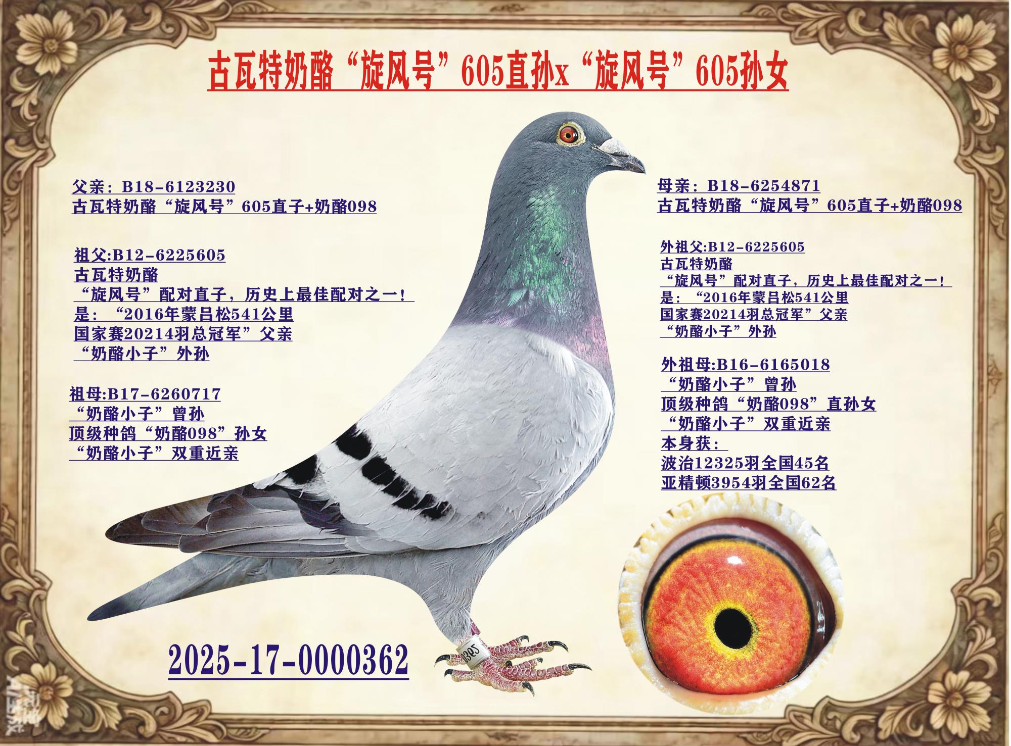 ���������ҡ�����š�605��x605��Ů