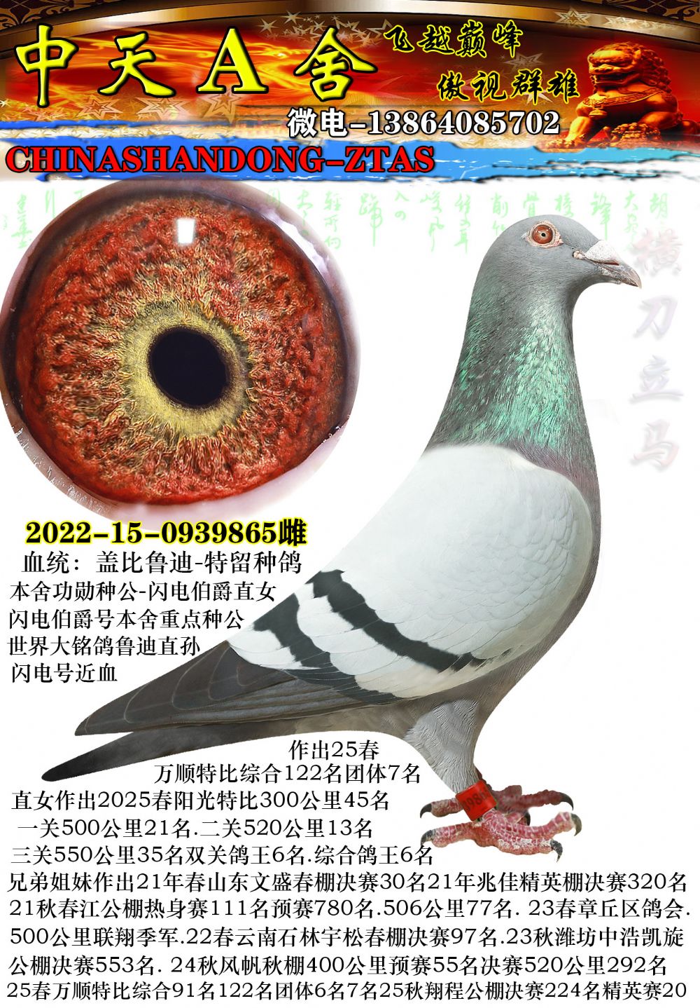 �Ǳ�³��