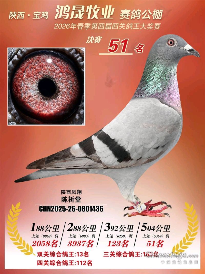 ������ҵ����51λ