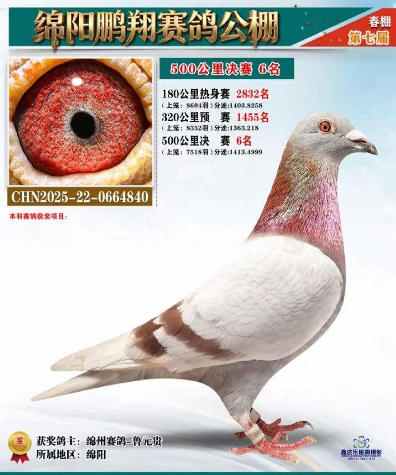 �������贺��6λ