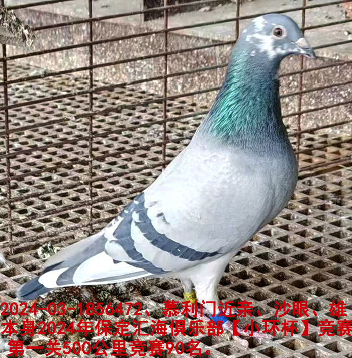 Ľ����