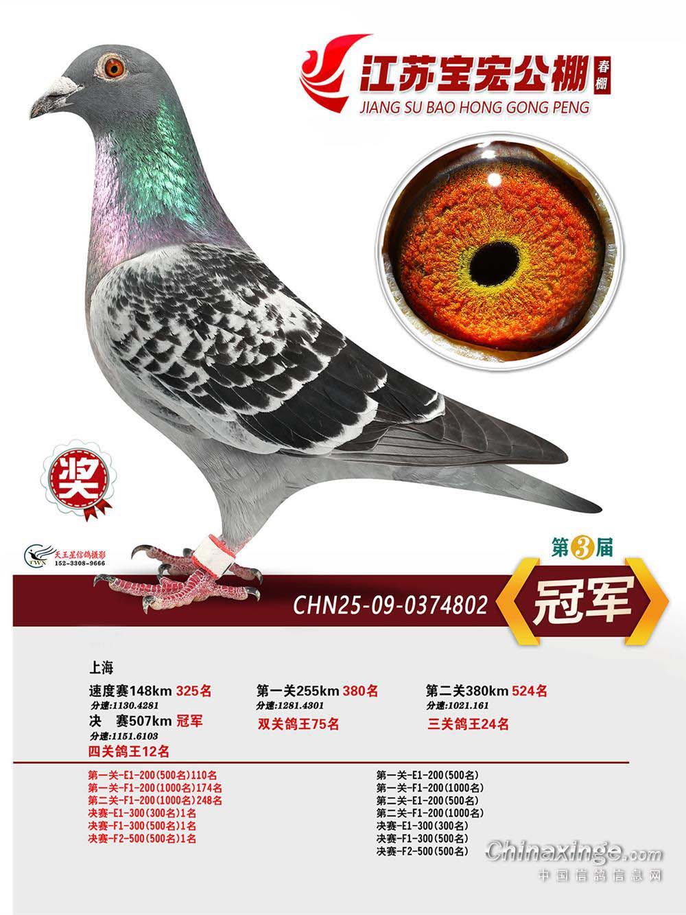 2026�����ձ��깫������ھ�