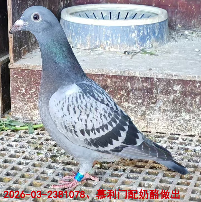 Ľ����