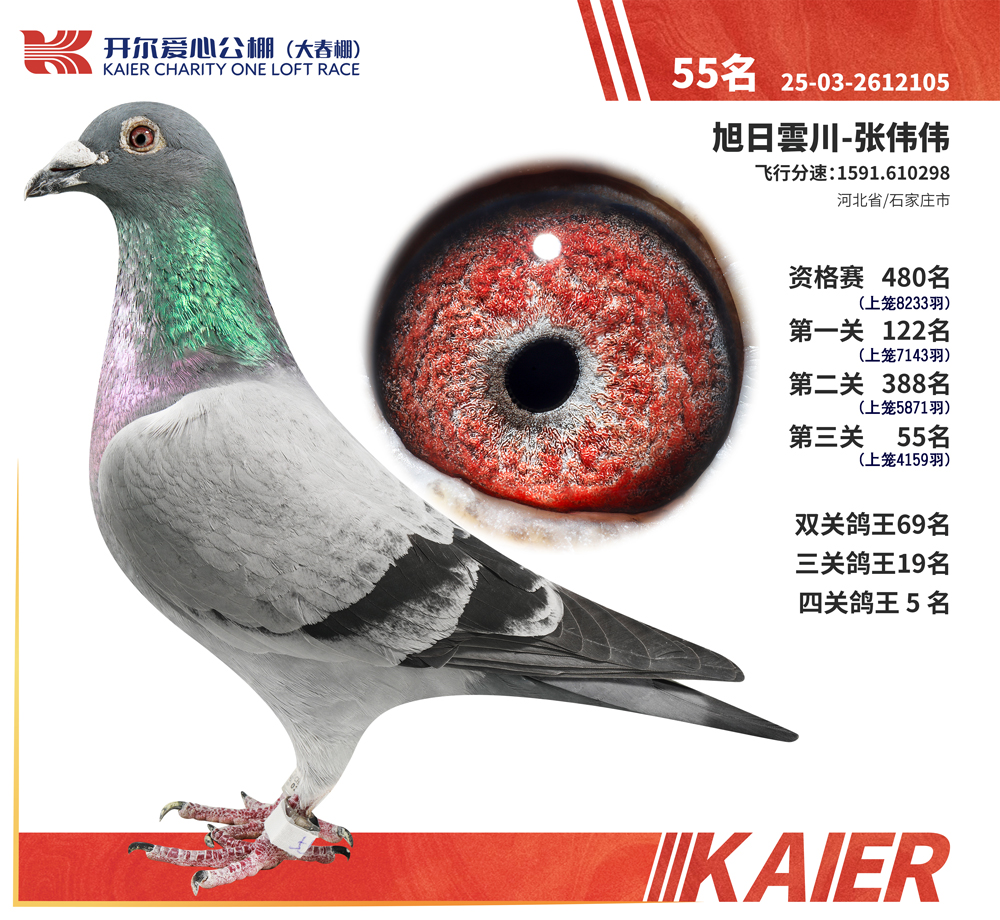 26�꿪�������Ĺظ���5������55