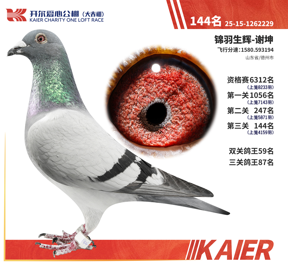 26�꿪���������144��