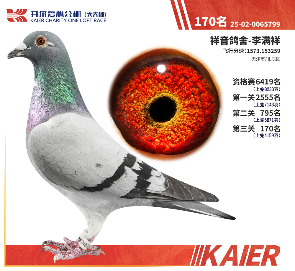26�꿪���������170��