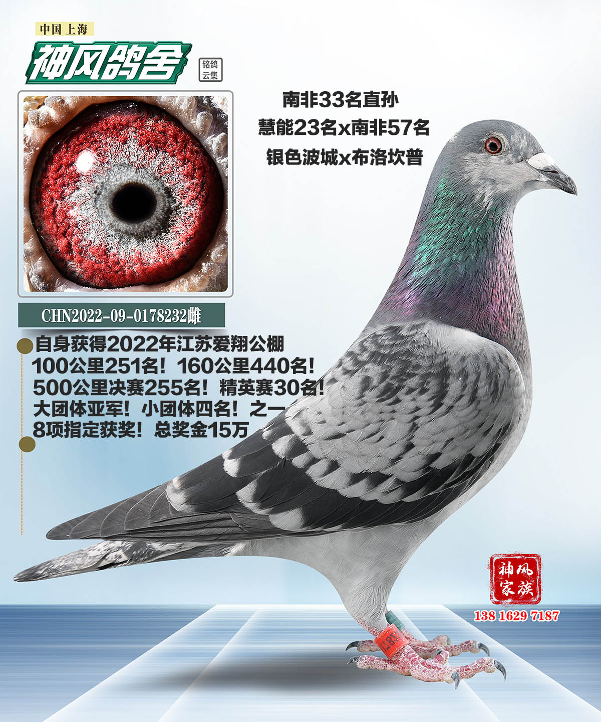 ����255��