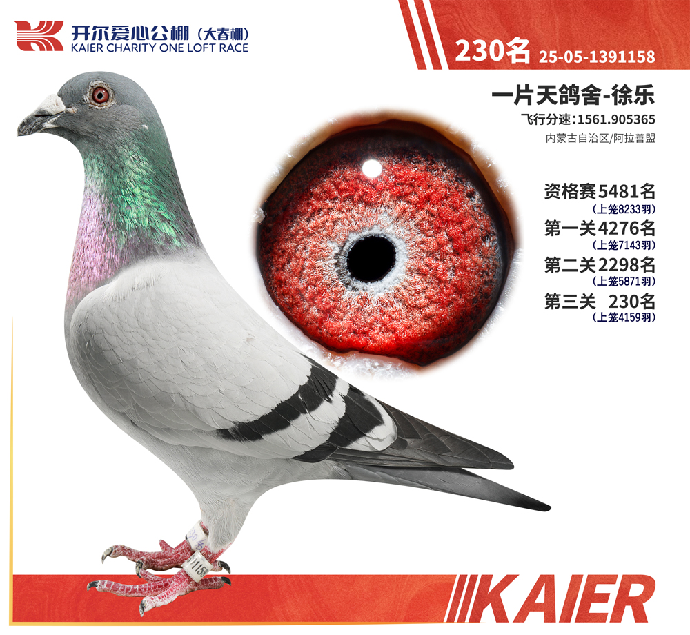 26�꿪���������230��