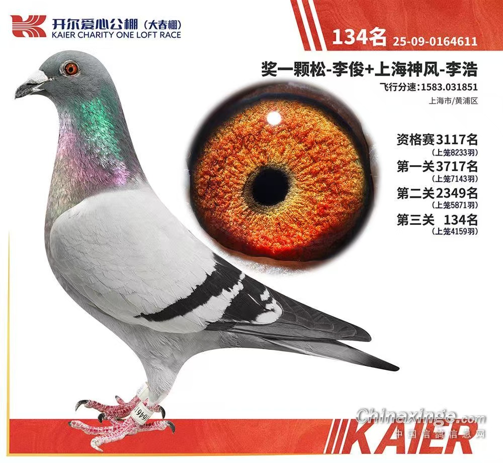 26�꿪������134��