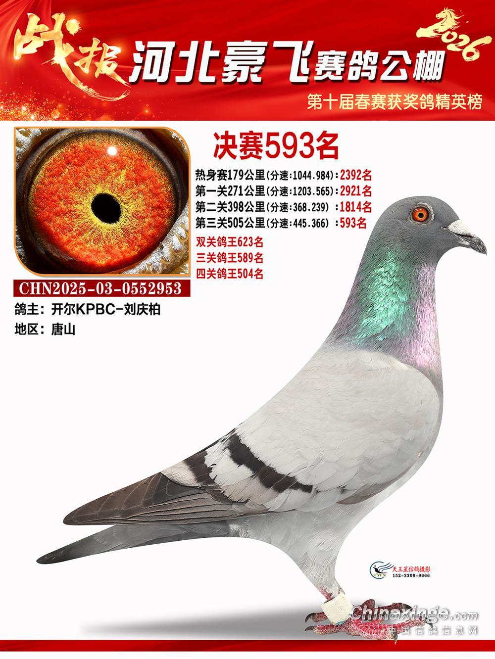 26�괺�ػʵ����ɾ���593��