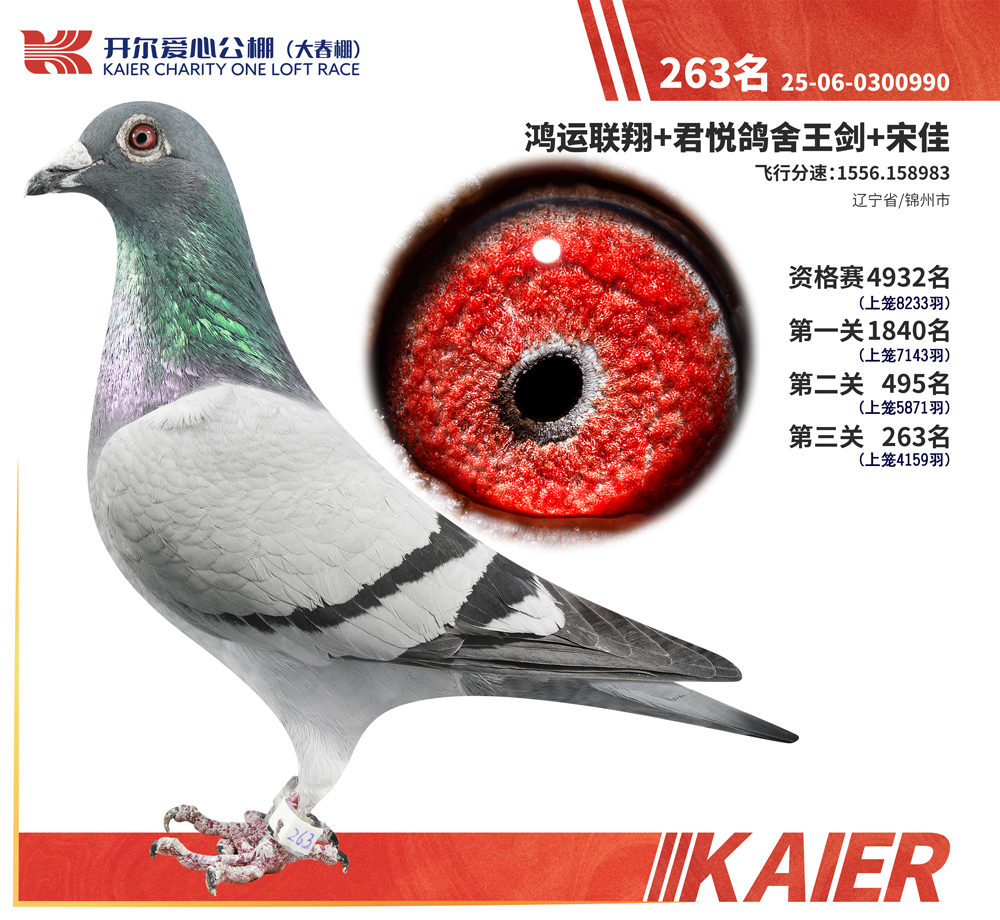 26�꿪���������263��