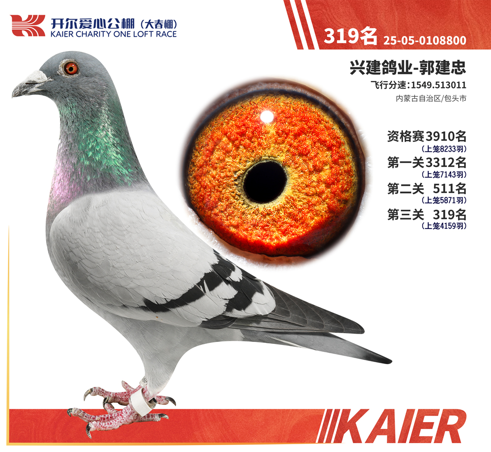 26�꿪���������319��