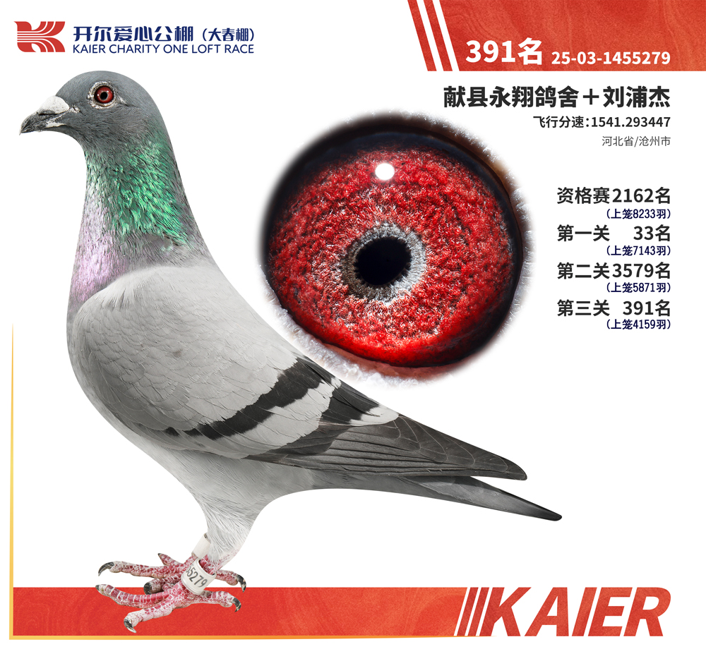26�꿪���������391��