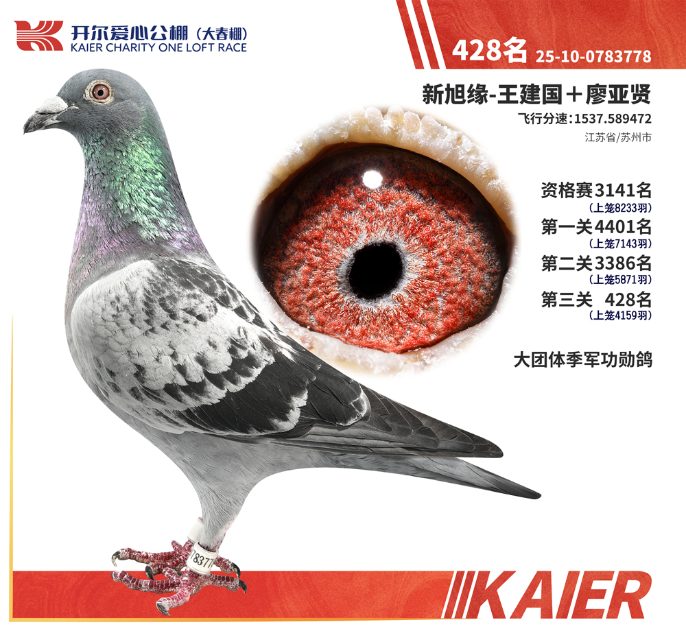 26�꿪���������428��