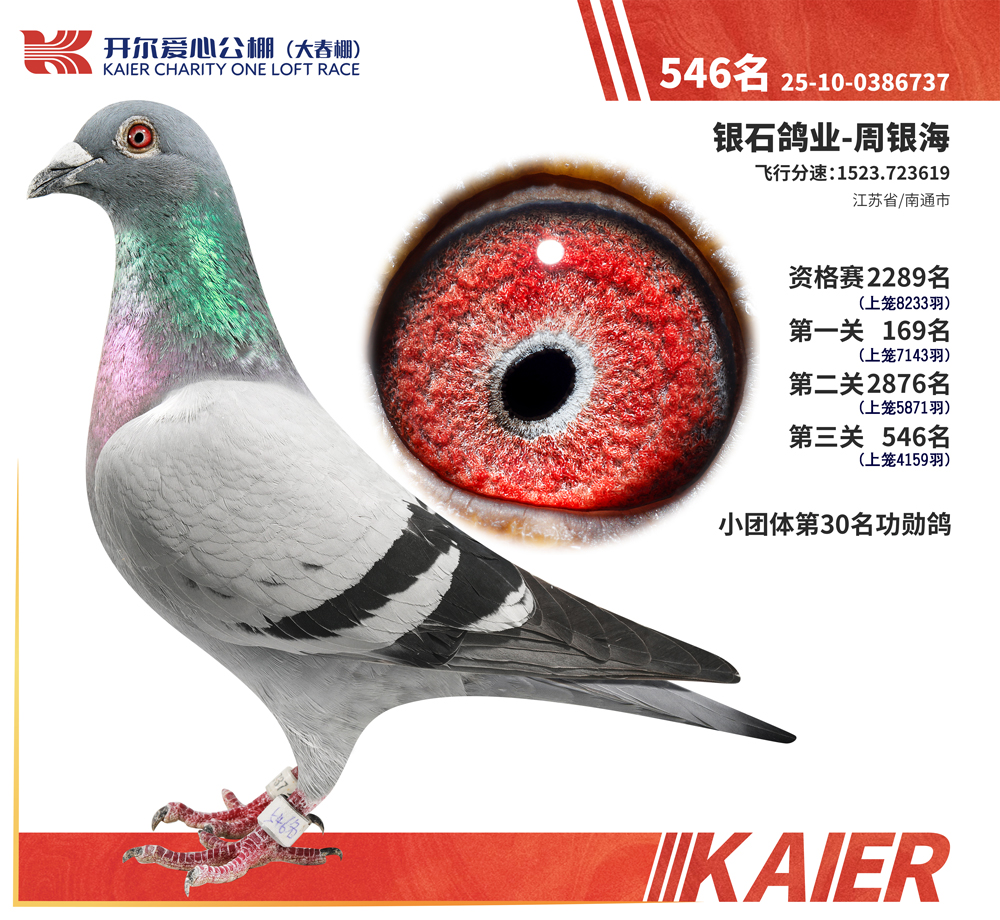 26�꿪���������546��