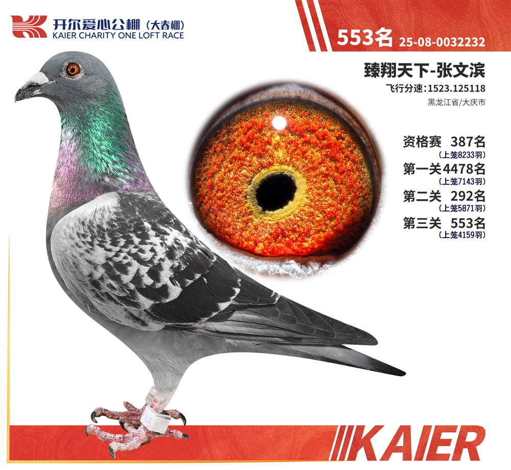 26�꿪���������553��