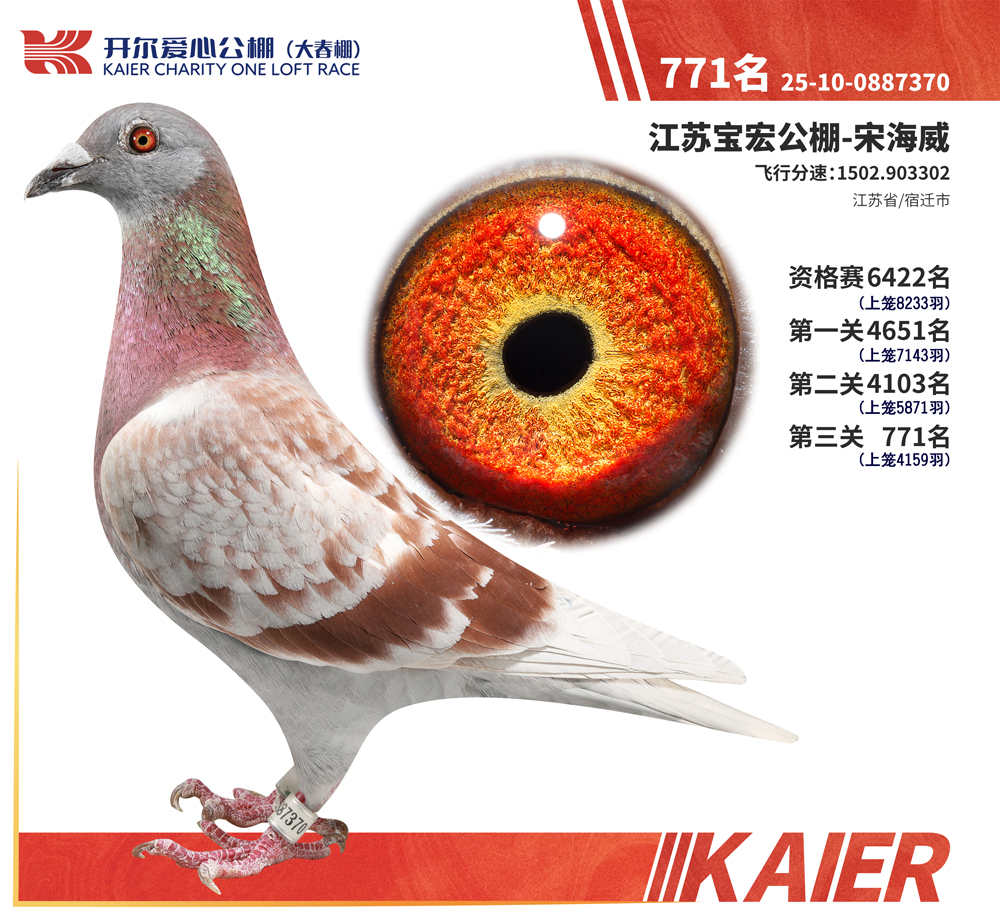 26�꿪���������771��