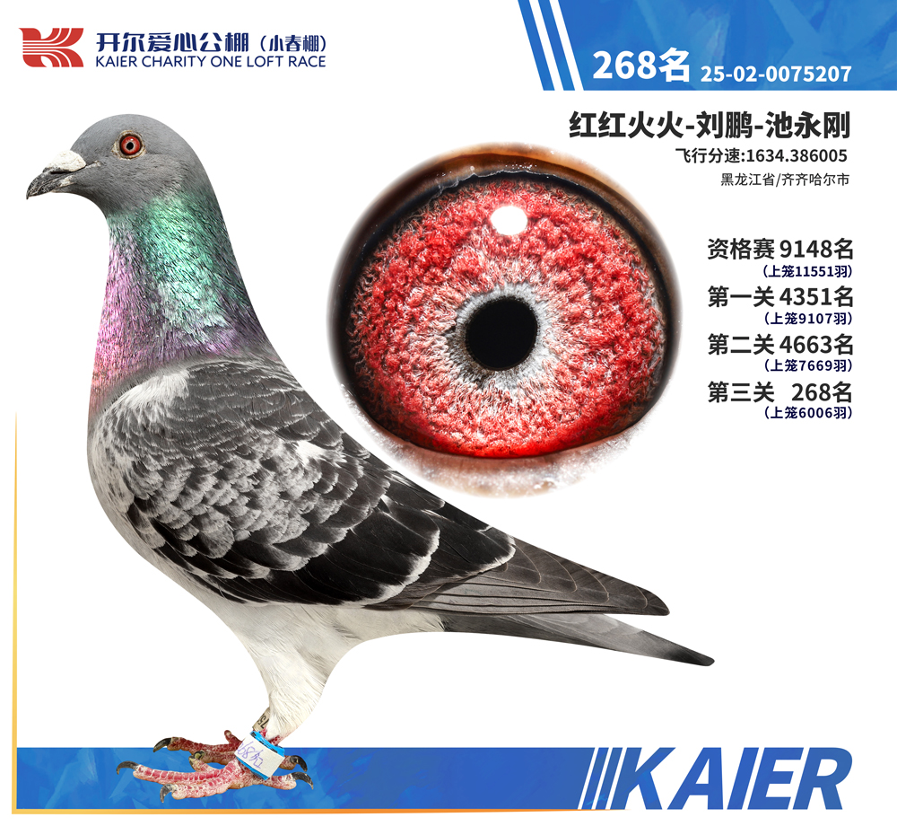 26�꿪��С�������268��