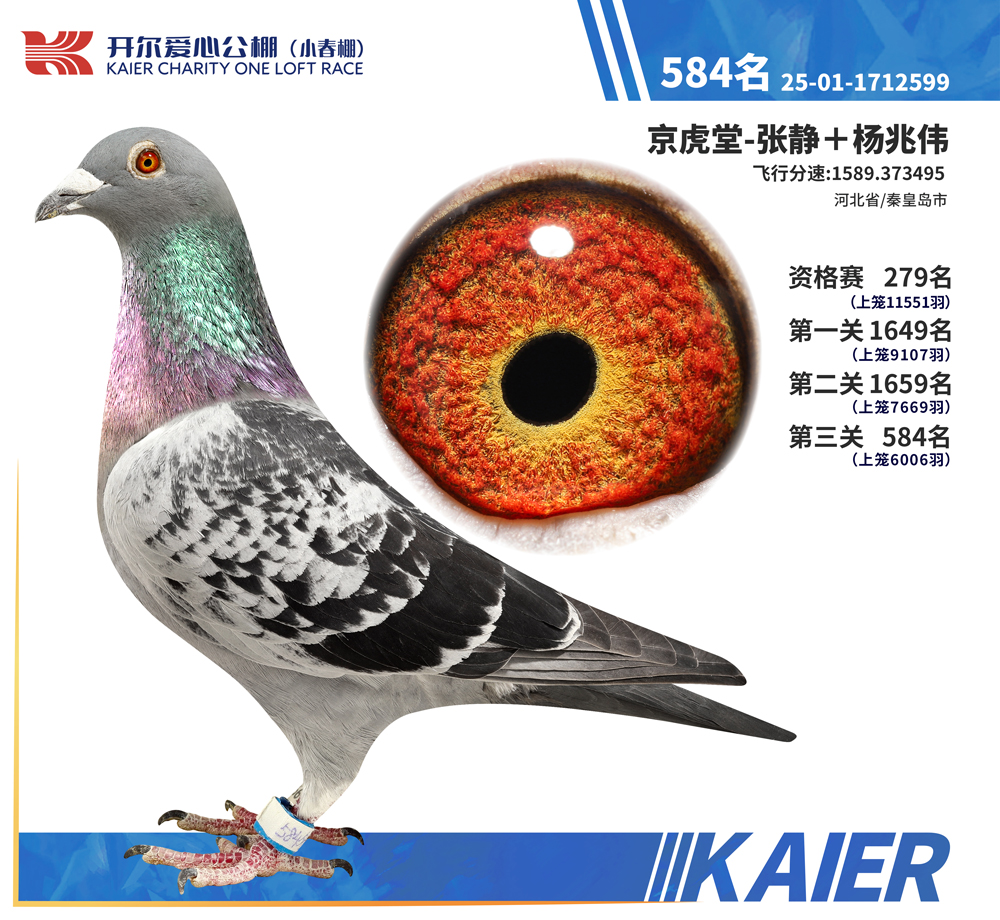 26�꿪��С�������584��
