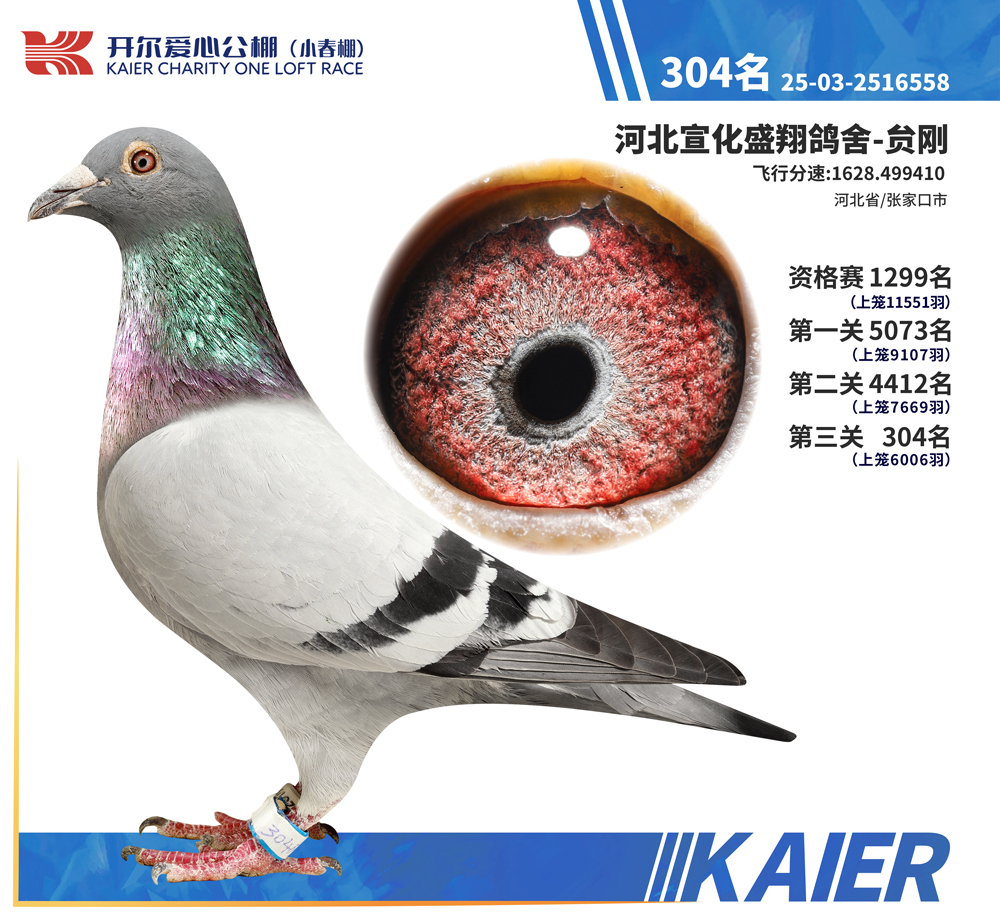 26�꿪��С�������304��