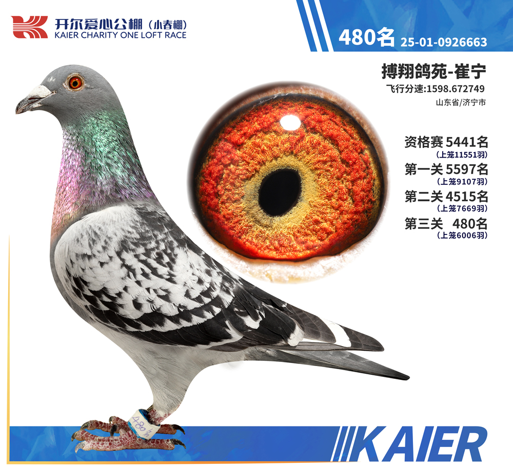 26�꿪��С�������480��