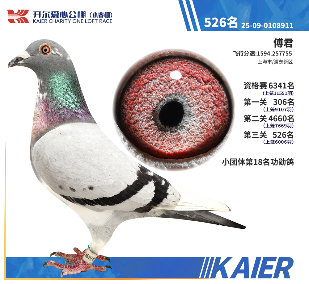 26�꿪��С�������526��