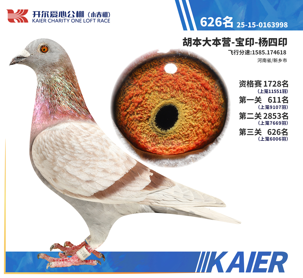 26�꿪��С�������626��